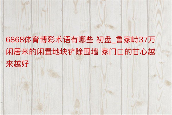 6868体育博彩术语有哪些 初盘_鲁家峙37万闲居米的闲置地块铲除围墙 家门口的甘心越来越好