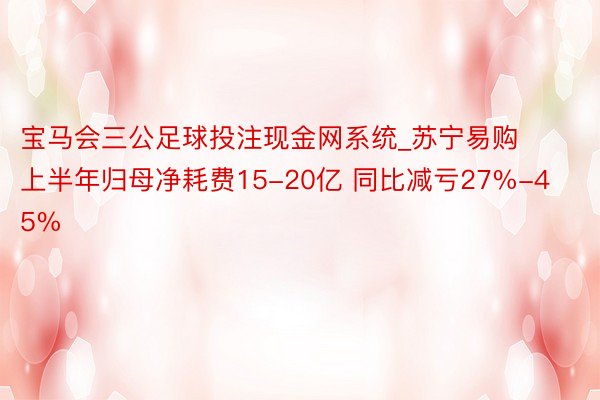 宝马会三公足球投注现金网系统_苏宁易购上半年归母净耗费15-20亿 同比减亏27%-45%