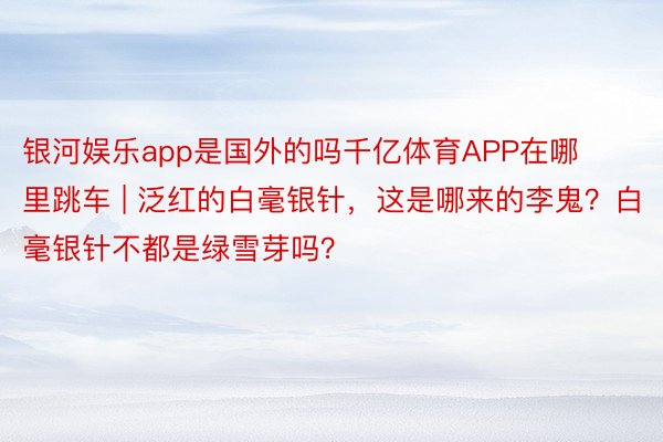 银河娱乐app是国外的吗千亿体育APP在哪里跳车 | 泛红的白毫银针，这是哪来的李鬼？白毫银针不都是绿雪芽吗？